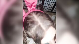 Tgirl bunny sucks cock for cum