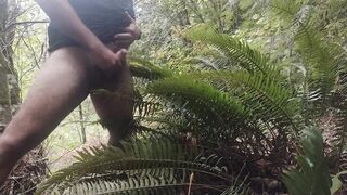 Cum on guys 2- Cum on a fern. What else would you like to see me cum on