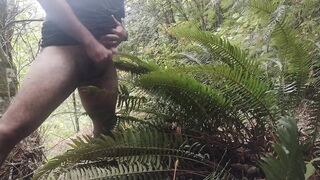 Cum on guys 2- Cum on a fern. What else would you like to see me cum on