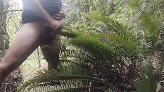 Cum on guys 2- Cum on a fern. What else would you like to see me cum on