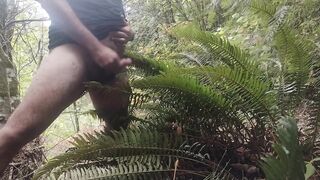 Cum on guys 2- Cum on a fern. What else would you like to see me cum on