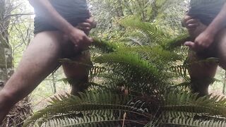 Cum on guys 2- Cum on a fern. What else would you like to see me cum on