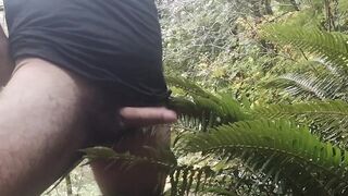 Cum on guys 2- Cum on a fern. What else would you like to see me cum on