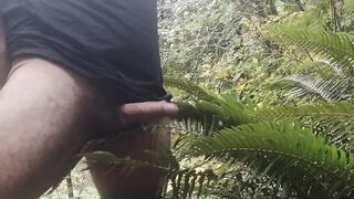 Cum on guys 2- Cum on a fern. What else would you like to see me cum on