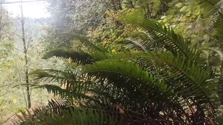 Cum on guys 2- Cum on a fern. What else would you like to see me cum on