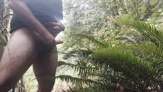 Cum on guys 2- Cum on a fern. What else would you like to see me cum on