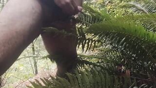 Cum on guys 2- Cum on a fern. What else would you like to see me cum on