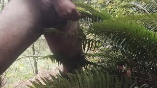 Cum on guys 2- Cum on a fern. What else would you like to see me cum on