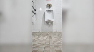 crossdresser public toilet masturbation