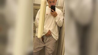 I took my dick out of my bikini in the airplane toilet