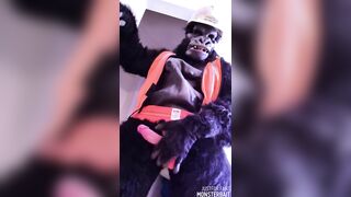 furry Gorilla in construction gear jerks off