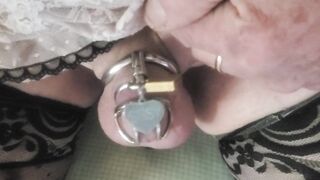 Sissy in Chastity and Panties