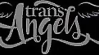 LARPing Queen / TransAngels