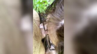 Sucking dick in woods - public blowjob