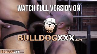 BullDogXXX.com - A handsome black guy gets his balls emptied