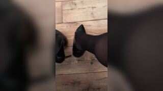 black tights & heels close-up