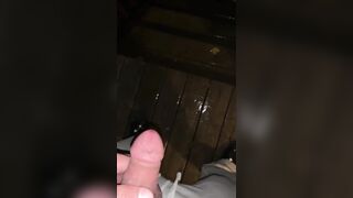 Outdoors jerking off and cumming.